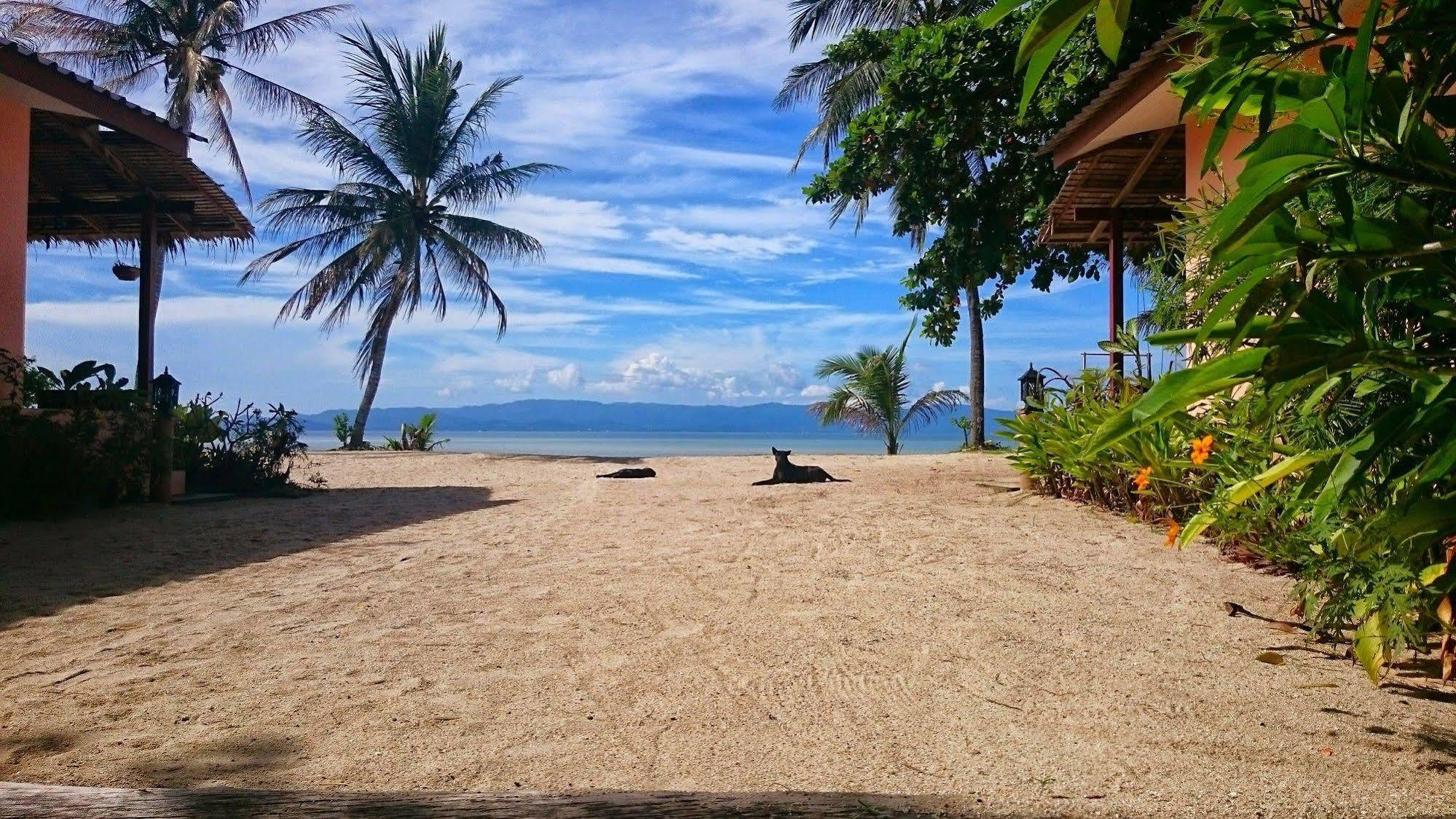 Papillon Bungalows Baan Tai Exteriör bild